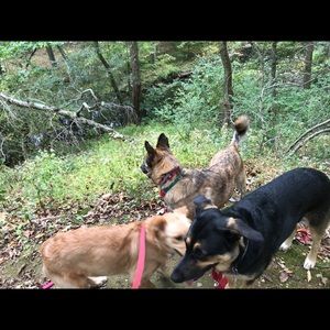 Meet your Posher, James